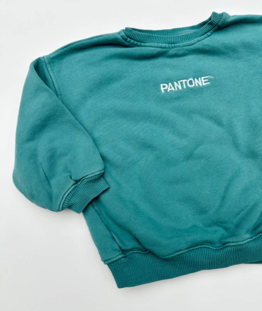 Sweatshirt ~ 92/98 ~ Zara