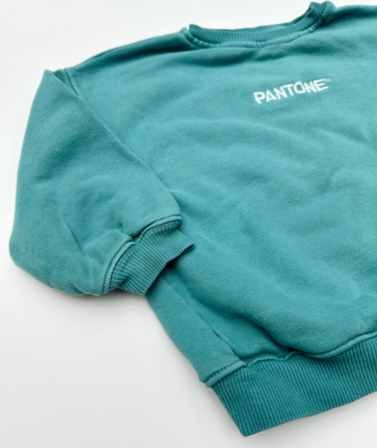 Sweatshirt ~ 92/98 ~ Zara