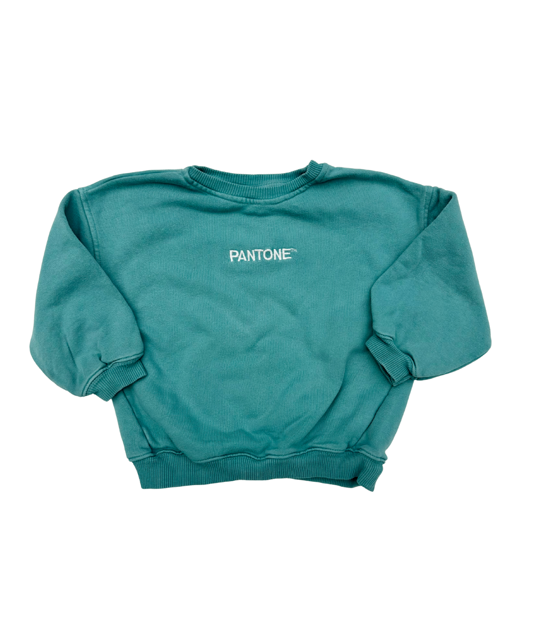 Sweatshirt ~ 92/98 ~ Zara