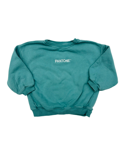 Sweatshirt ~ 92/98 ~ Zara