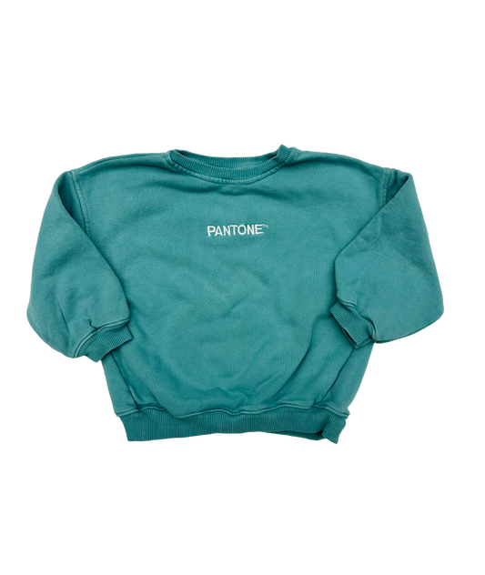 Sweatshirt ~ 92/98 ~ Zara