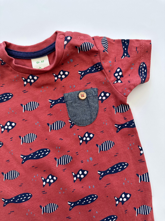 Kurzer Strampler ~ 62 ~ Alana